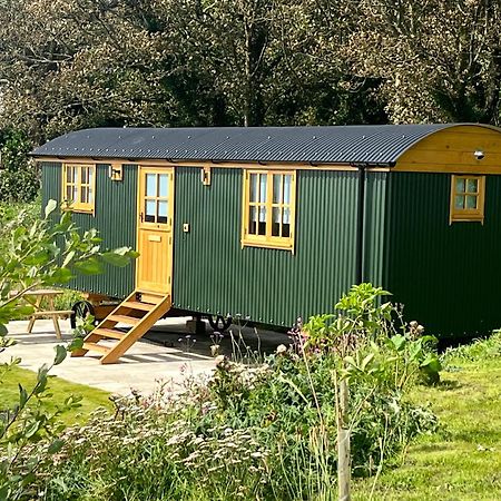 Beacon Country House Hotel & Luxury Shepherd Huts セント・アグネス エクステリア 写真